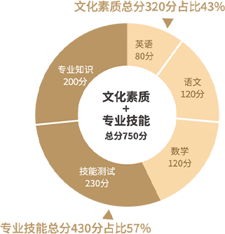 初中生参加职教高考换条赛道上大学